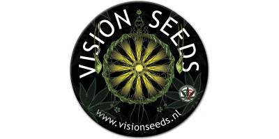 vsion seeds